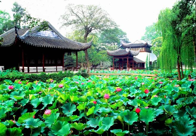 The Charm Of Southern Chinese Gardens Facts About Chinese Gardens