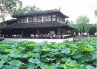 Humble Adiministrator's Garden Lotus 