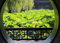 Humble Adiministrator's Garden Landscape 