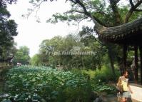 Garden of Humble Administrator Suzhou