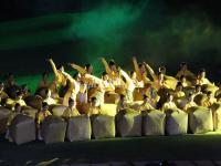 Impression Dahongpao Tea Show
