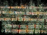 Impression Dahongpao by Zhang Yimou