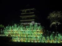 Impression Dahongpao