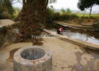 An Ancient Well 