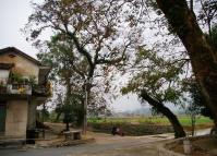 Jiangtouzhou Village in Guilin 