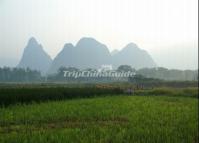 Jiangtouzhou Village Farmland Guilin