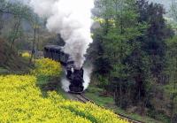 Jiayang Famous Trainset Sichuan