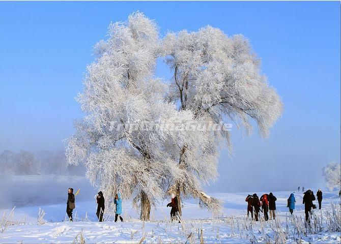 Attractive Jilin Rime Festival