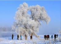 Attractive Jilin Rime Festival