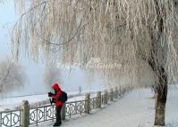 Beautiful Snow Scenery at Jilin