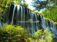 Jiuzhaigou Nuorilang Falls Spring Scenery Aba 