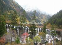 Nuorilang Falls Beautiful Scenery at Jiuzhaigou