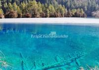 Jiuzhaigou Nature Reserve Autumn Scenery 