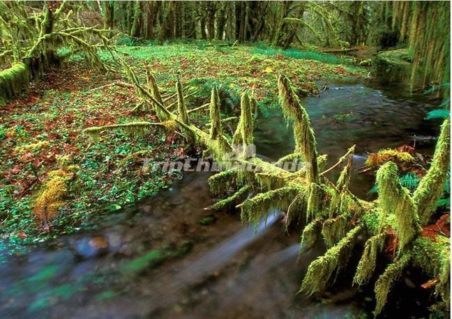 Jiuzhaigou Charming Autumn Scenery Aba Sichuan