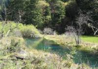 Jiuzhaigou Park Fall Scenery 