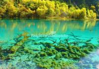 Fall in Jiuzhaigou Valley