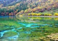 Autumn Pictures Jiuzhaigou