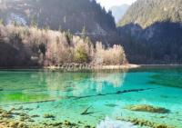 Jiuzhaigou National Park Autumn Scenery 