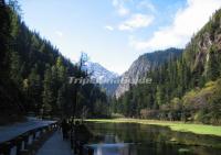 Jiuzhaigou Fall Scenery Aba 