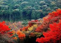  Jiuzhaigou Valley in Autumn