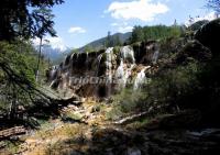 Jiuzhaigou Waterfall in Spring Sichuan 