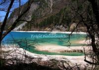 Jiuzhaigou Beautiful Lake Spring Scenery 