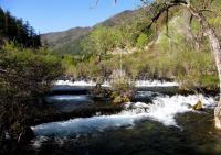 Jiuzhaigou Park Spring Scenery Sichuan 