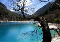 Spring Scenery in Jiuzhaigou Valley Sichuan 