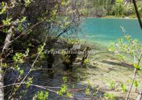 Jiuzhaigou National Park Spring Scenery