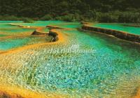 Charming Pond in Jiuzhaigou Valley 