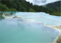 Beautiful Pond in Jiuzhaigou Park 