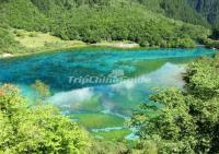 Jiuzhaigou Nature Reserve Summer Landscape 