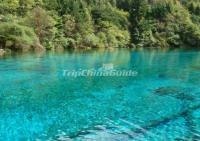 Beautiful Lake in Jiuzhaigou Park 