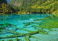 Summer Photos of Jiuzhaigou