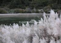 Jiuzhaigou Valley in Summer