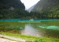 Summer Tour Jiuzhaigou Valley