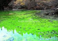 Jiuzhaigou Water Aba 