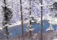 Jiuzhaigou Valley Winter Scenery 