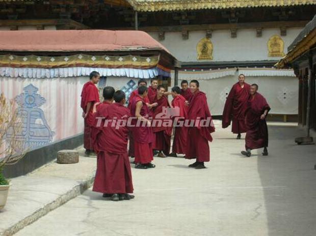 Jokhang Temple Monks Lhasa