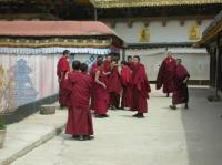 Jokhang Temple Monks Lhasa 