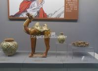Tri-colored Glazed Pottery of the Tang Dynasty 