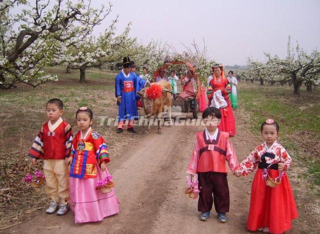 Korean Wedding