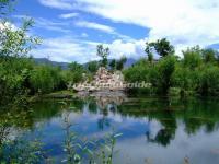 Black Dragon Pool Park Summer Scenery Yunnan