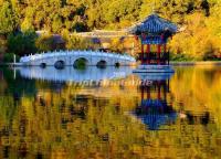 Black Dragon Pool Park Attractive Autumn Scenery Kunming 