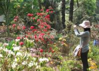 Botanical Garden at Kunming 