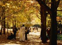 Botanical Garden Beautiful Autumn Scenery Kunming 