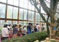 Visit Kunming Botanical Garden