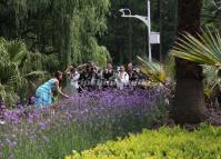 Tourists Visit Botanical Garden Kunming 