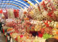 Flowers at Kunming Flower and Bird Market