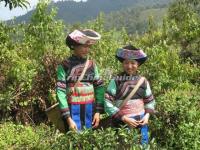 Lahu Ethnic Girls